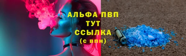 сатива Костерёво