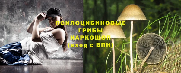 сатива Костерёво