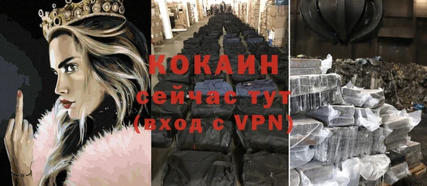 сатива Костерёво