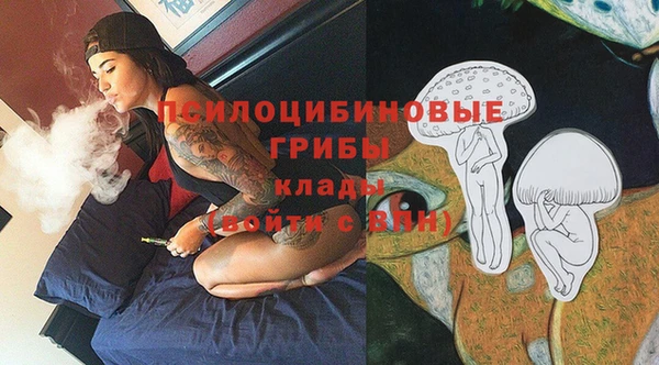 сатива Костерёво