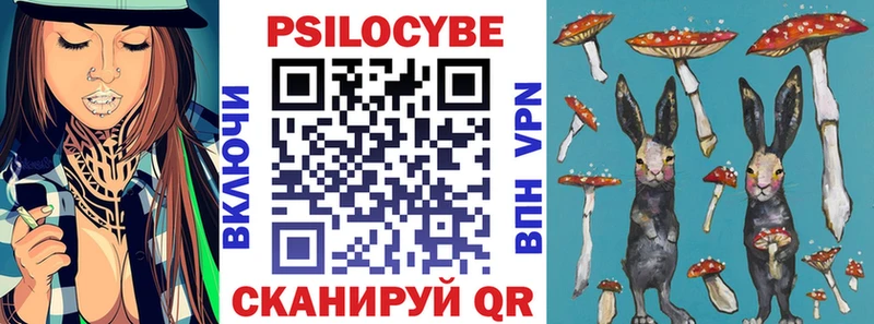 Купить закладки  Рязань  Псилоцибиновые грибы Magic Shrooms 